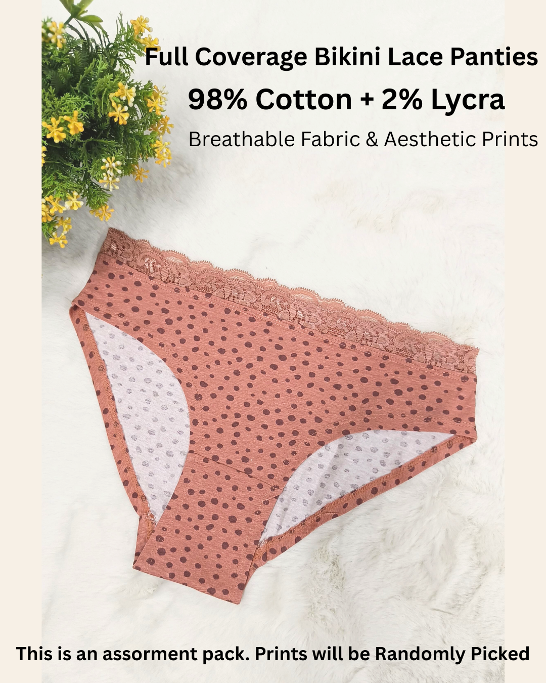 Women's Multiprint  Bikini Lace Panties Pack Of 6 Front View