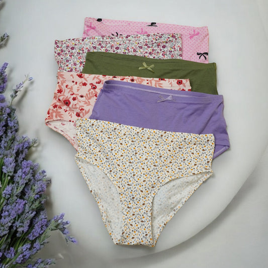 Womens Multicolour Pack of 6 Hipster Panties Front View