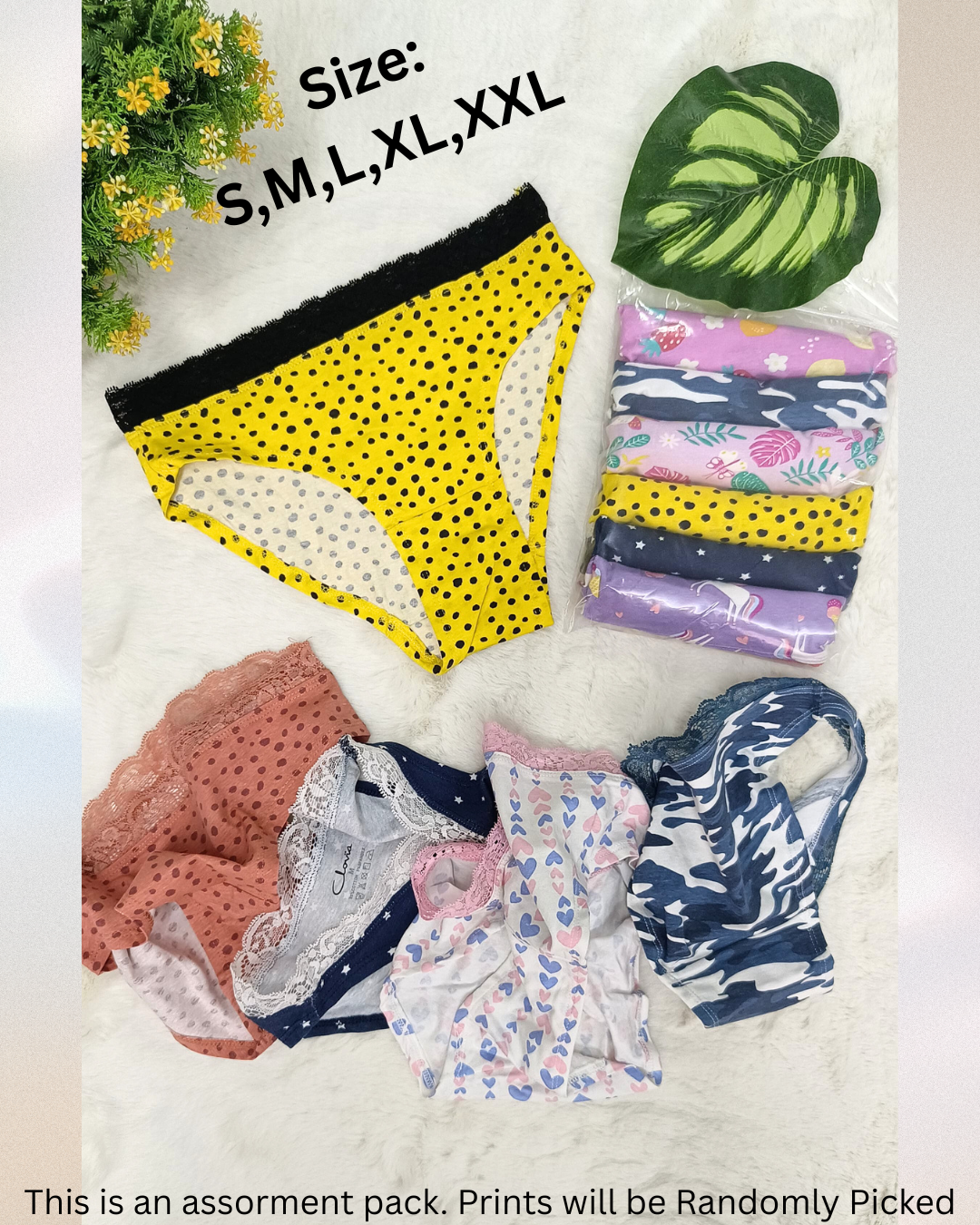 Women's MultiColour  Bikini Lace Panties Pack Of 6 Front View